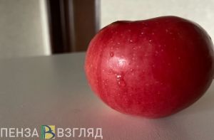 «Порадуют плодами»: топ-5 советов для правильного ухода за яблоней и грушей этой осенью