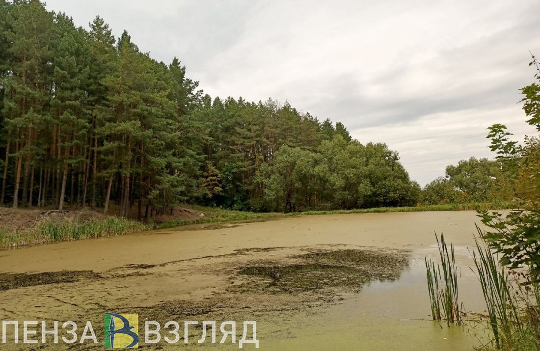 Теплая погода, период ВПР и ограничение движения - новости Пензы за 19 сентября