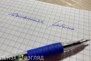 Стало известно, когда может решиться проблема второй смены в школе на Северной поляне Пензы