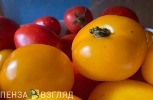 «Можно есть и зимой»: названы 3 сорта помидор, которые долго будут свежими
