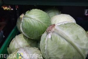 «Эту ошибку допускают все»: как правильно вырастить хорошую капусту
