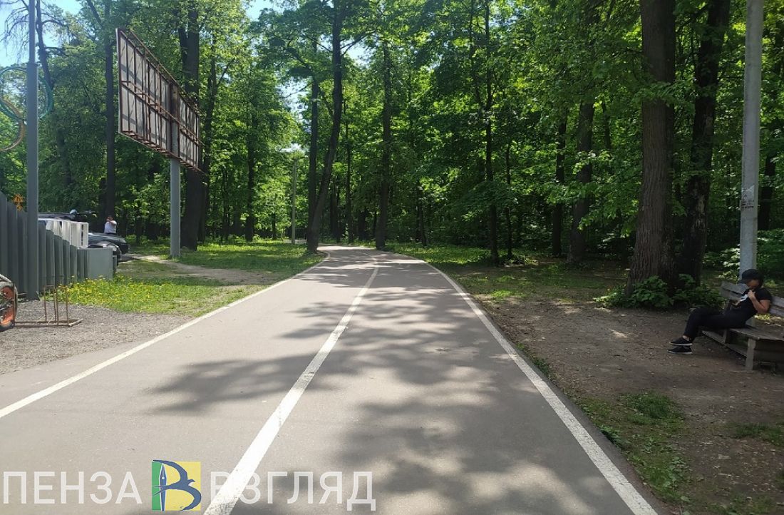Пензенцам предлагают пройти 10 тысяч шагов