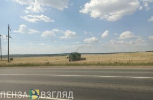 В Каменском районе собрано более 130 тысяч тонн сахарной свеклы