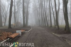 Туман, смертельное ДТП и покушение на убийство - новости Пензы за 6 октября