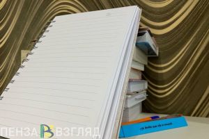 В Пензенской области начали работать «горячие линии» по снижению документарной нагрузки на учителей