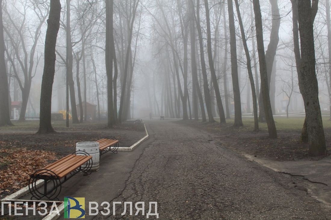 Туманная погода, смертельное ДТП и солнечное затмение - новости Пензы за 25 октября