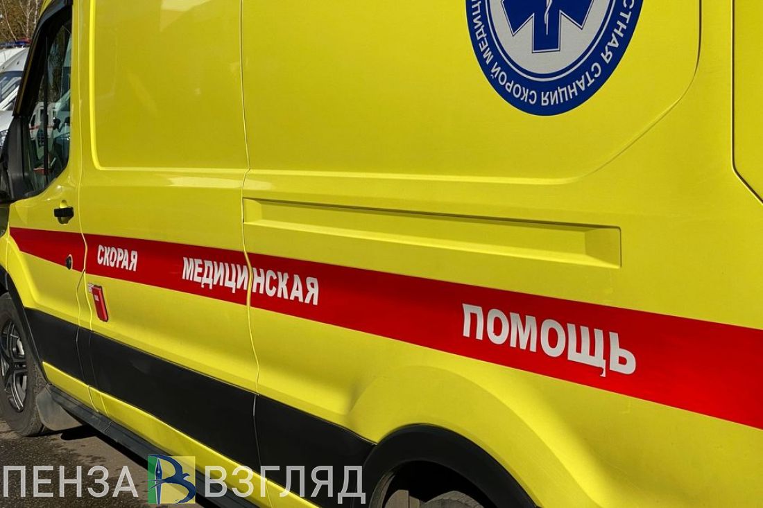 Погибла девушка, штрафы для ресурсников, шерстистый носорог — новости Пензы и области за 30 октября