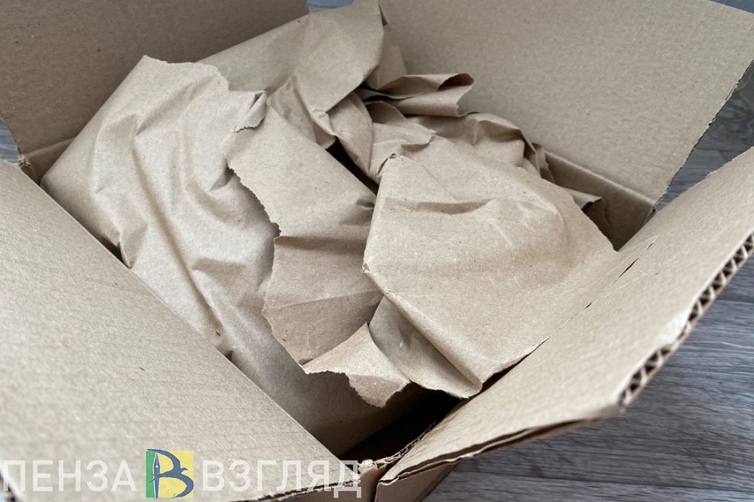 Гуманитарный груз, жалобы на дороги и ДТП с двумя пешеходами: новости Пензы за 6 ноября