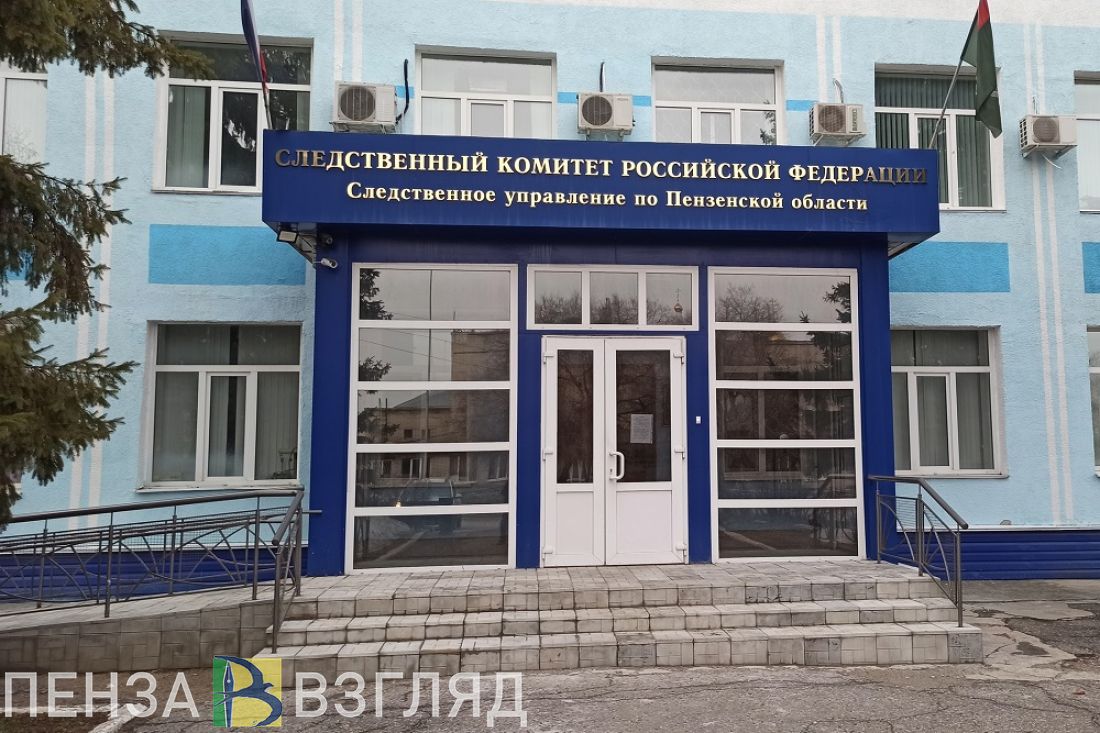 Покушение на ребенка, ограничение движения и новый руководитель администрации: новости Пензенской области за 8 ноября