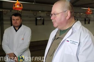 Мельниченко обозначил задачу, которая стоит перед сельским хозяйством Пензенской области