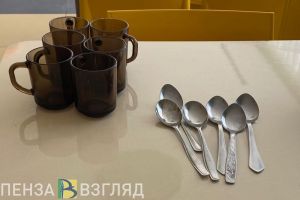 В Пензе семьям мобилизованных вернут деньги за оплаченные школьные завтраки и обеды