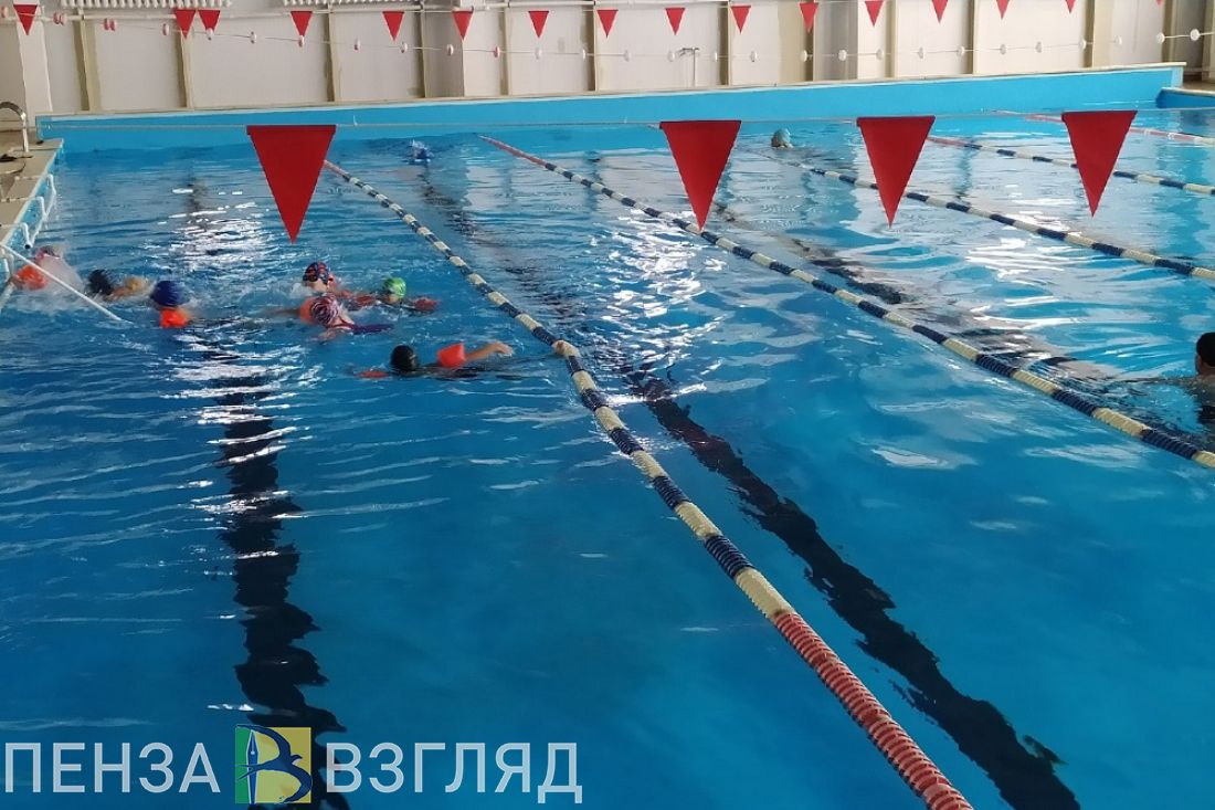 Семьи участвующих в СВО пензенцев могут бесплатно ходить в бассейны ДВС «Сура»