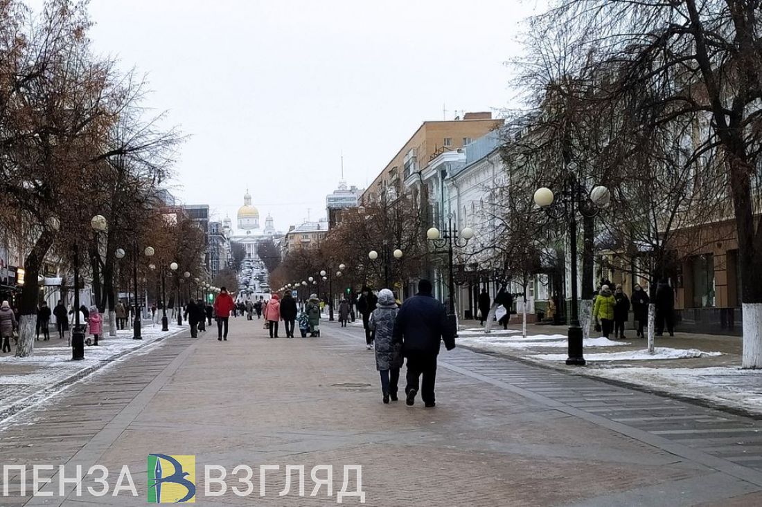В Пензенской области назвали долю работающих с зарплатой ниже 20 тысяч рублей