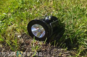 Пропавший мужчина, пособие по безработице и возгорание дома - новости Пензы и области за 26 ноября