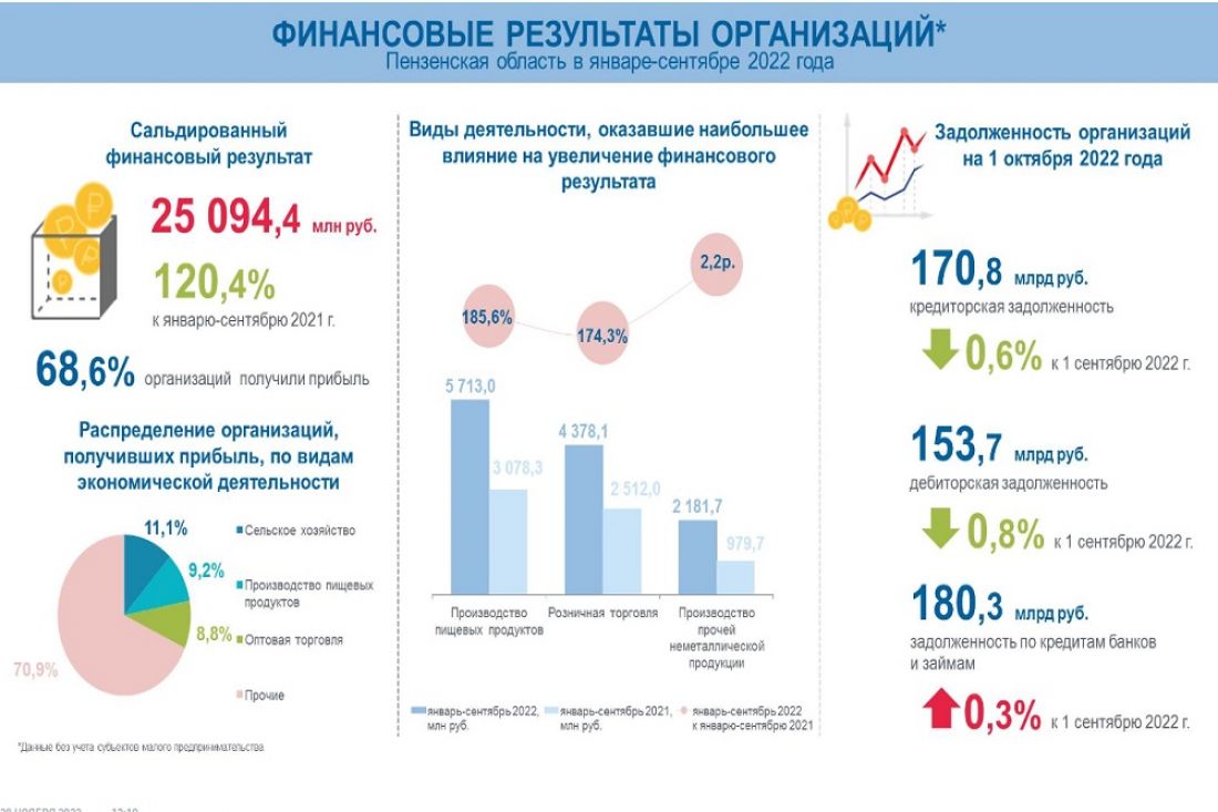 Стало известно, какие пензенские организации получили наибольшую прибыль в этом году