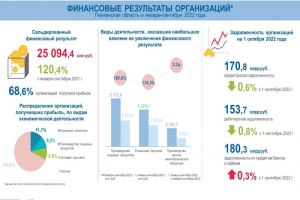 Стало известно, какие пензенские организации получили наибольшую прибыль в этом году