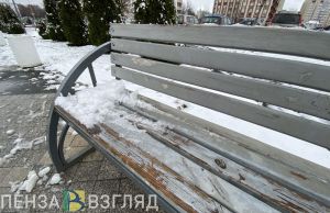 Морозная погода, сбор макулатуры и взятка главврача районной больницы - новости Пензенской области за 28 ноября