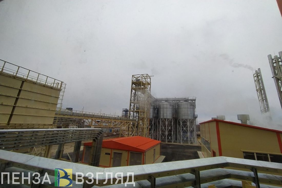 Пензенская область получит почти 300 миллионов на развитие агропромышленного комплекса