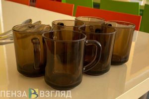 В Пензенской области школьников кормили запрещенными для использования продуктами