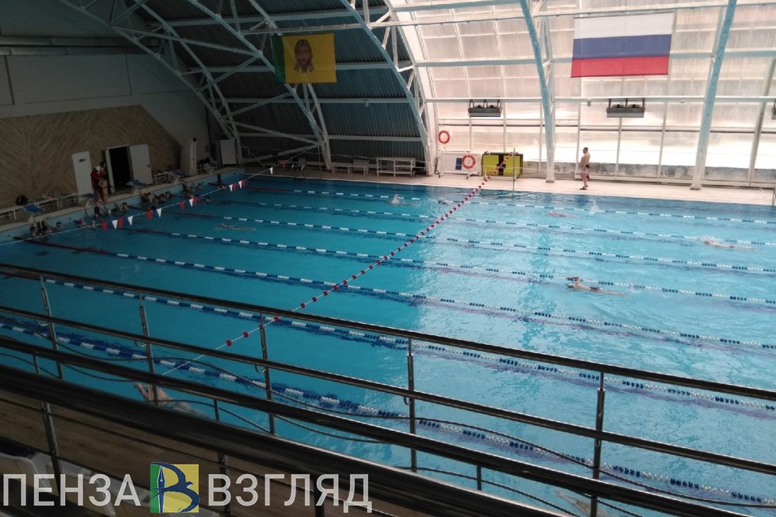 В Пензе сообщили результаты эстафеты по плаванию на призы губернатора