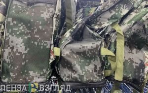 Посылки военнослужащим, смерть 9-классницы и туман - новости Пензенской области за 6 декабря