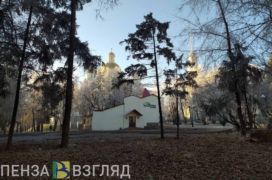 Ухудшение погоды, распространение самого опасного гриппа и пожар с пострадавшим - новости Пензенской области за 8 декабря