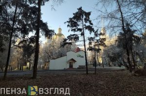 Ухудшение погоды, распространение самого опасного гриппа и пожар с пострадавшим - новости Пензенской области за 8 декабря