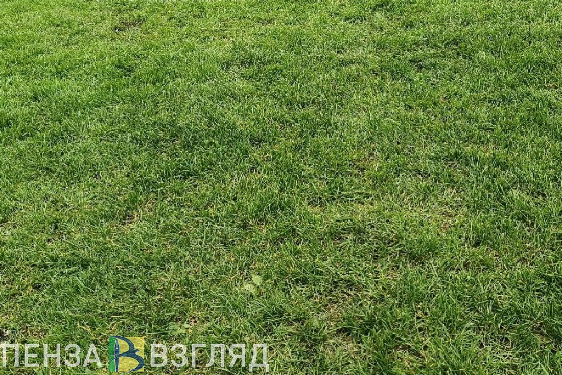 Названы три самых рейтинговых матча чемпионата мира по футболу в Катаре