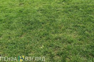 Названы три самых рейтинговых матча чемпионата мира по футболу в Катаре