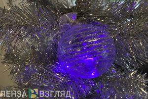 Пензенцам ответят на вопросы о новогодних каникулах