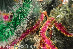 В школах и детсадах Пензенской области новогодние елки пройдут в традиционном формате