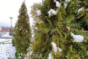 Метель, убийство приятеля и ключи от новых автомобилей скорой помощи - новости Пензенской области за 13 декабря