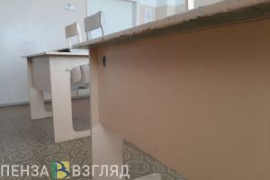 Досрочные школьные каникулы в Пензенской области рекомендует объявить Роспотребнадзор