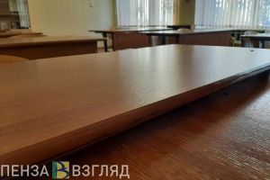 В пензенском Минобре прокомментировали информацию о досрочных зимних каникулах