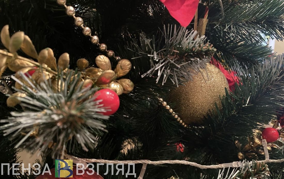 Новогодние мероприятия в Пензенской области можно посетить по «Пушкинской карте» (6+)