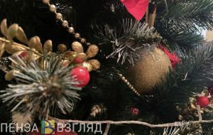 Новогодние мероприятия в Пензенской области можно посетить по «Пушкинской карте» (6+)