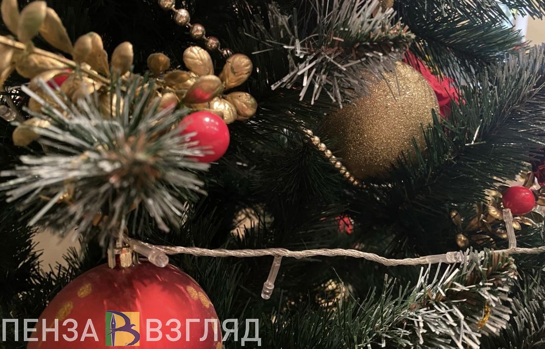 В Пензе для детей мобилизованных провели новогодний праздник (0+)