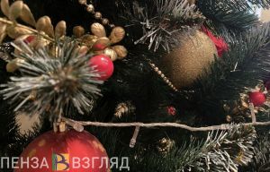 В Пензе для детей мобилизованных провели новогодний праздник (0+)