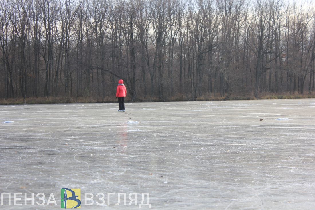 Пензенцам рассказали, где покататься на коньках (6+)