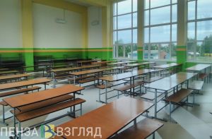 В Пензенской области на модернизацию ДОЛ потрачено более 55 млн рублей