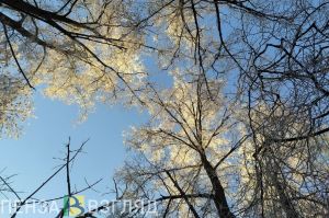 Морозы, уборка снега без выходных и новая поликлиника - новости Пензенской области за 6 января