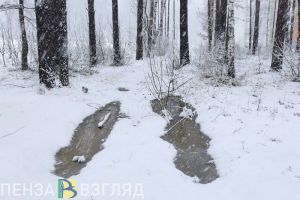 В Заречном объявили, будут ли сегодня учиться школьники 5-11 классов