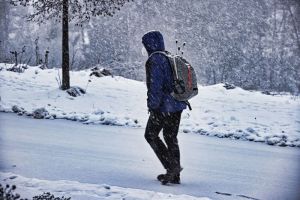 В Заречном объявили о посещении школ учениками 11 января