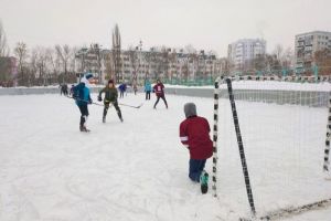 В Пензе собираются отметить День снега