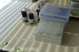 Стали известны подробности о заражении пациента «кракеном» в Пензенской области
