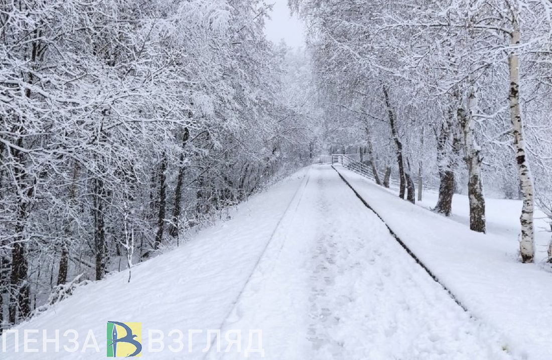 В Сердобском районе 15 января официально откроется лыжный сезон