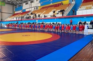 В Пензе назвали победителей областного первенства по самбо