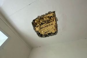 Жительница Пензенской области рассказала о дырах в потолке и ужасающем пищеблоке в детском саду