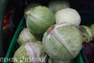 В Пензенской области обновили перечень продукции, необходимой для обеспечения импортозамещения