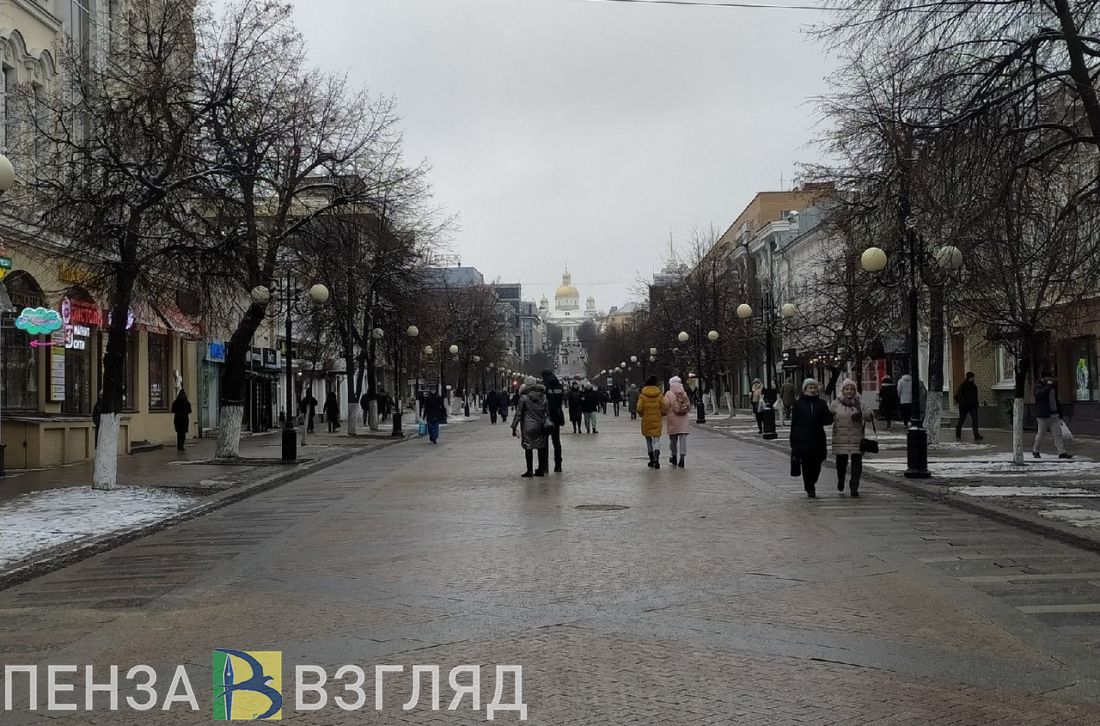 Потепление, сохранение лесов и угроза убийством - новости Пензенской области за 29 января